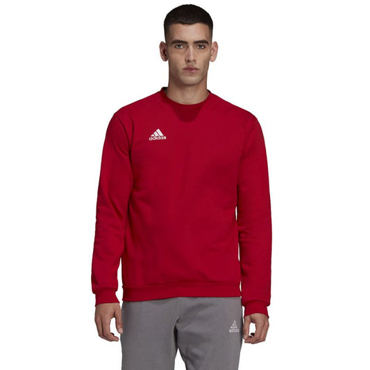 Adidas Entrada 22 Sweatshirt M HB0577