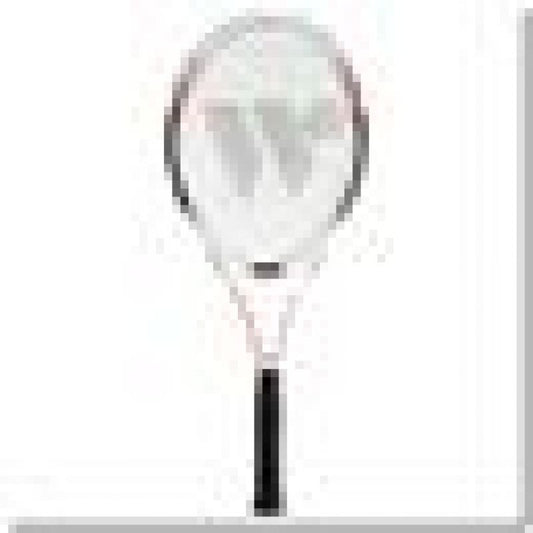 WISH WS4001 badminton net