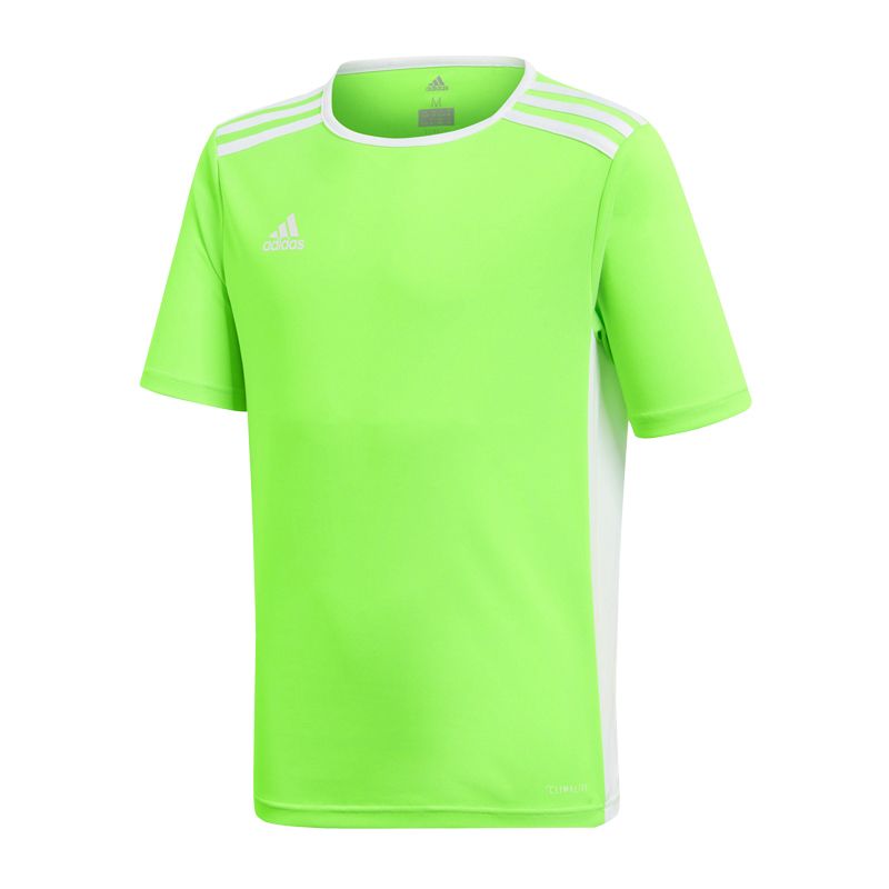 adidas Entrada 18 Jr T-shirt CE9755