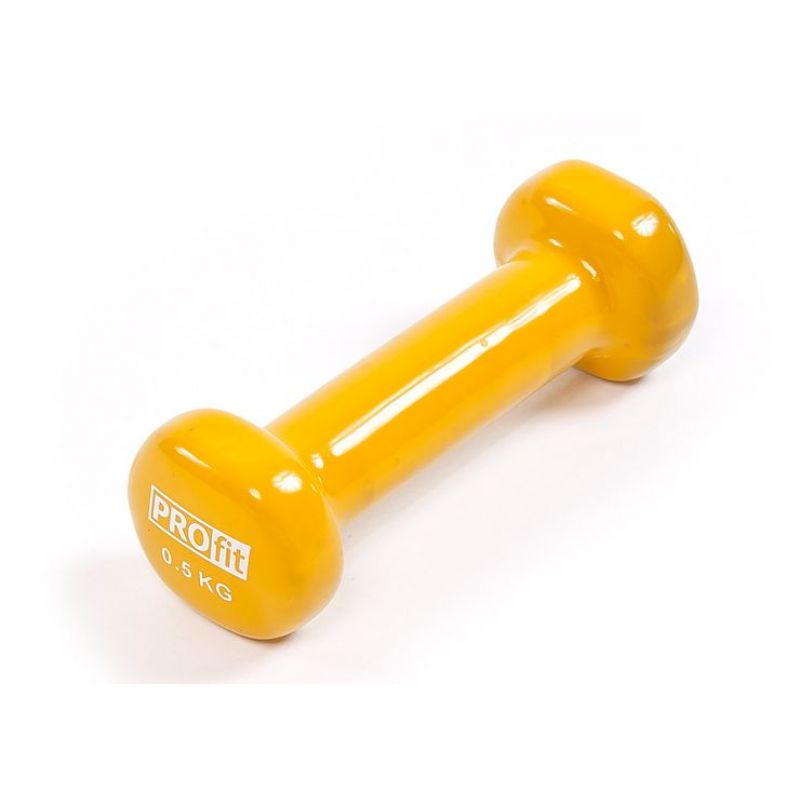 PROfit vinyl weight 0.5kg DK 4102
