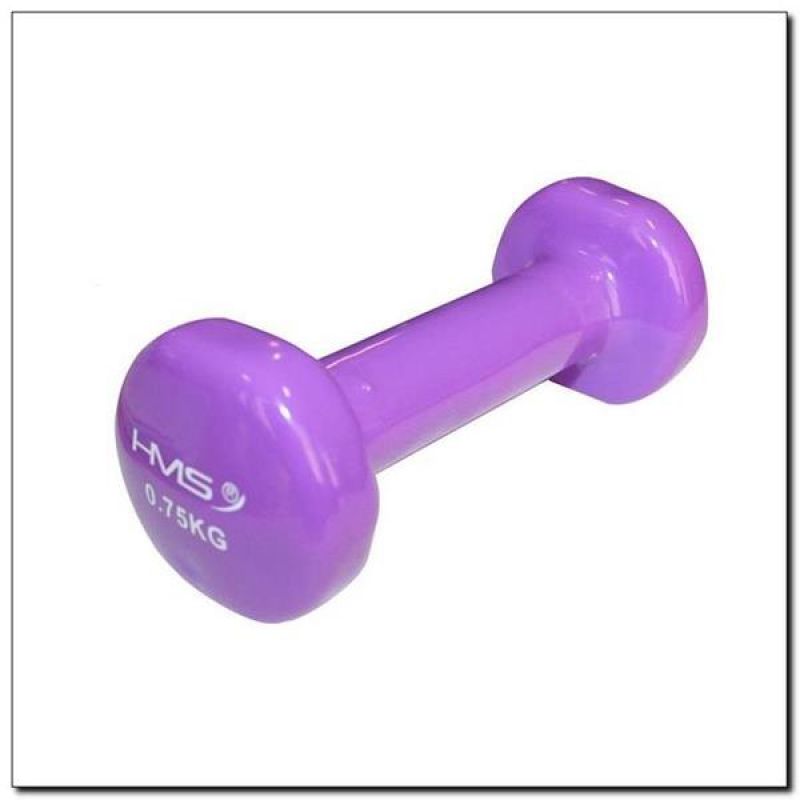 17023 VINYL-COATED CAST IRON WEIGHT 0.75 KG