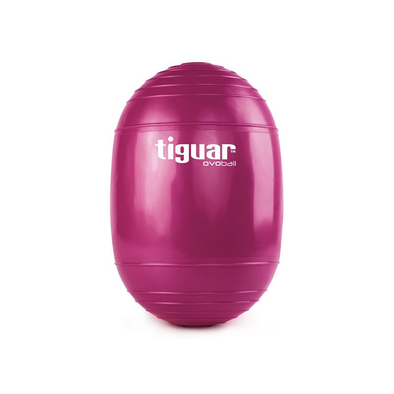 tiguar ovoball TI-V001S gym ball