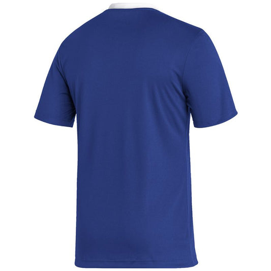 Adidas Entrada 22 JSY M T-shirt HG6283