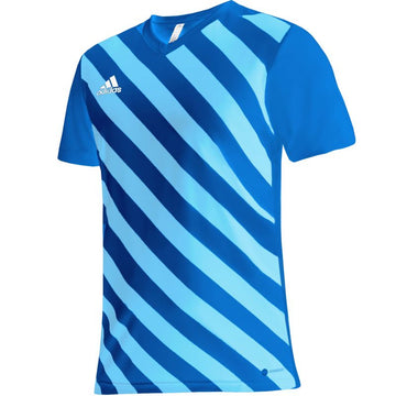 adidas Entrada 22 Graphic Jersey M HF0116