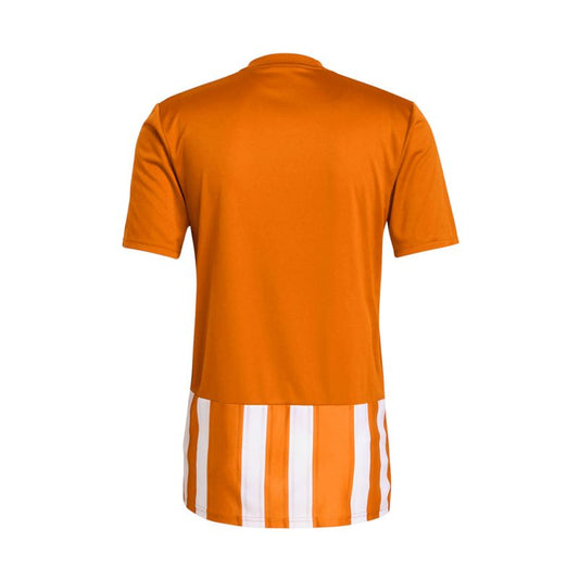 Adidas Striped 21 M T-shirt H35642