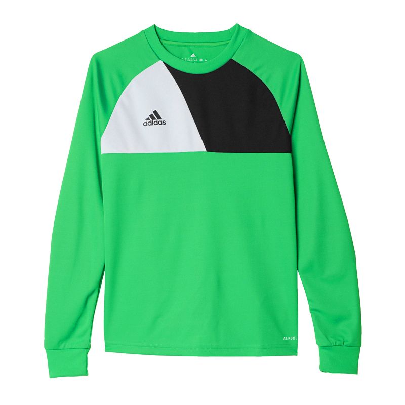 Adidas Assita 17 Jr sweatshirt AZ5406
