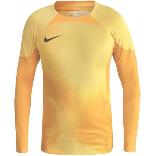 Nike Gardien IV Goalkeeper JSY M DH7967 719