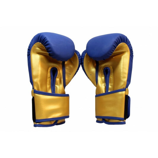 Masters Boxing Gloves RPU-COLOR/GOLD 10 oz 01439-0210