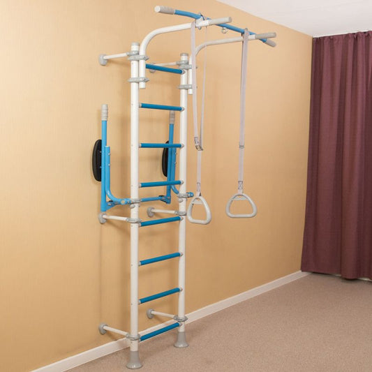 Wallbarz Gym EG-W-055 gymnastic ladder