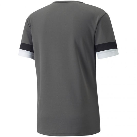 T-shirt Puma teamRISE Smoked M 704932 13
