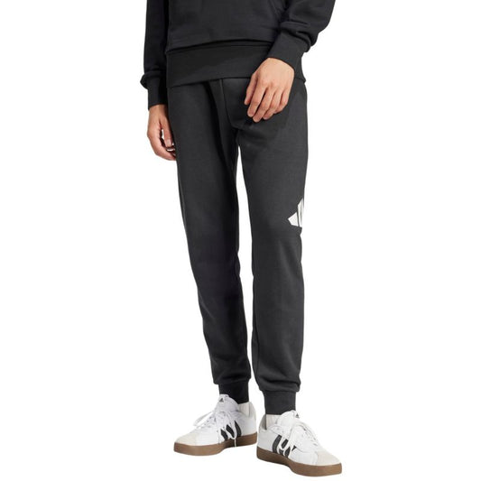 Adidas Essentials Big Logo French Terry M IN6163 pants