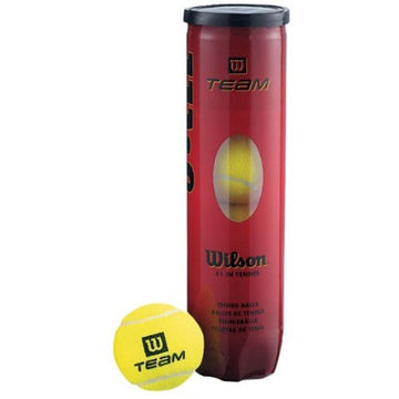 Wilson Team Practice Tennis Balls 4 pcs WRT111900