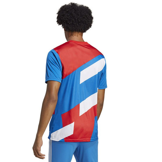 adidas FC Bayern Pre-Match JSY M HU1261 T-shirt