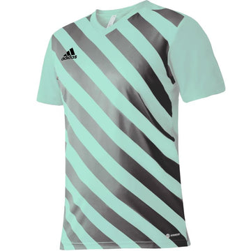 adidas Entrada 22 Graphic Jersey M HF0119