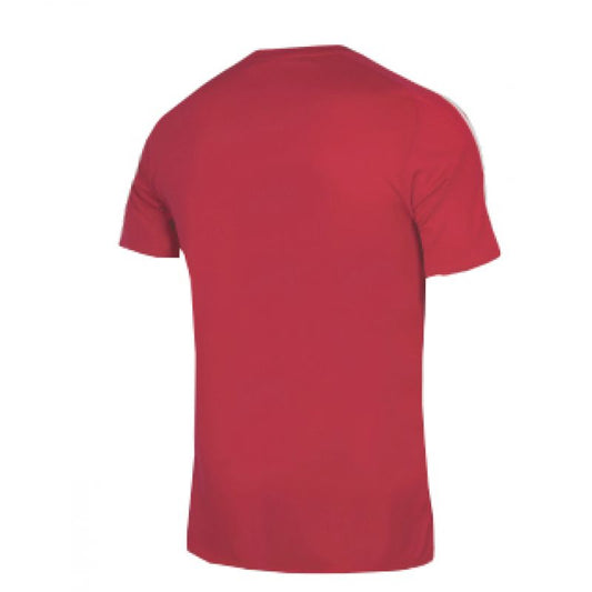 adidas Squadra 21 JSY M GN5722 football shirt