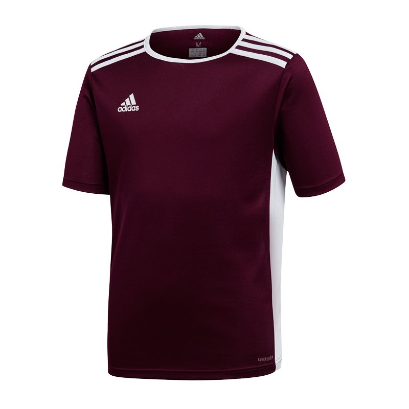 adidas Entrada 18 Jr T-shirt CE9564
