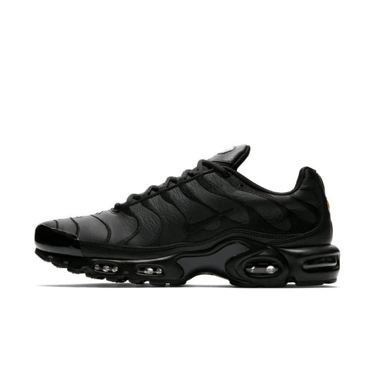 Nike Air Max Plus M AJ2029-001 shoes