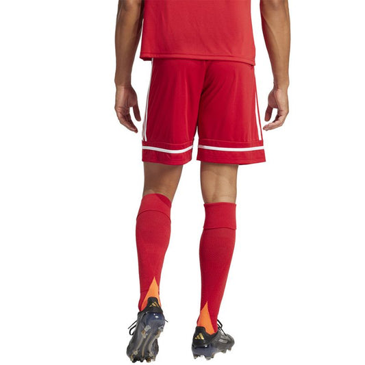 adidas Squadra M 25 Short JN5466 football shorts