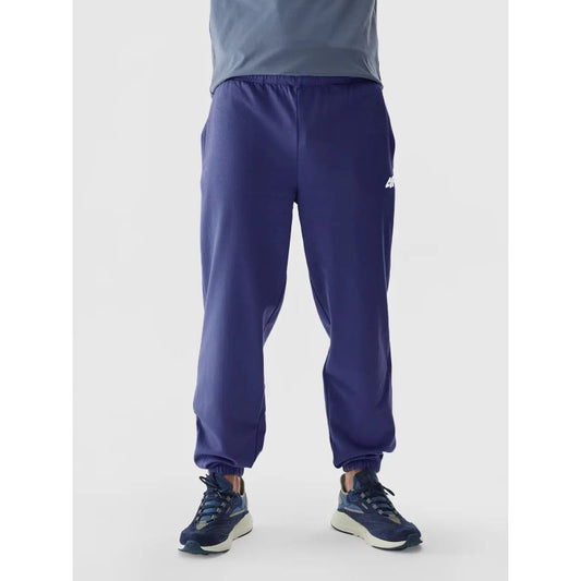 Sweatpants 4F M 4FWAW24TTROM1277-31S