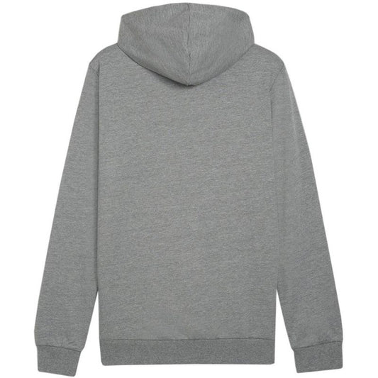 Puma Team Goal Casuals Hoody M 658618 33