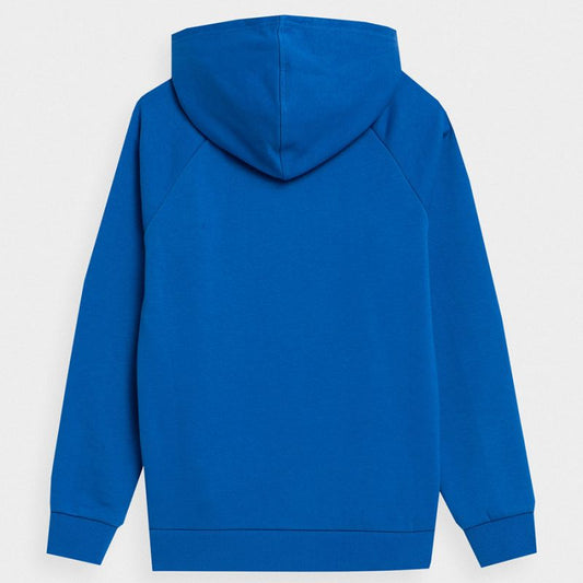 Sweatshirt 4F Jr. 4FJSS23TSWSM220 36S