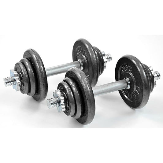 Profit DK4135 cast iron dumbbells