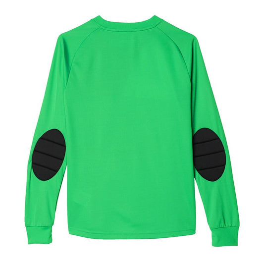 Adidas Assita 17 Jr AZ5406 sweatshirt