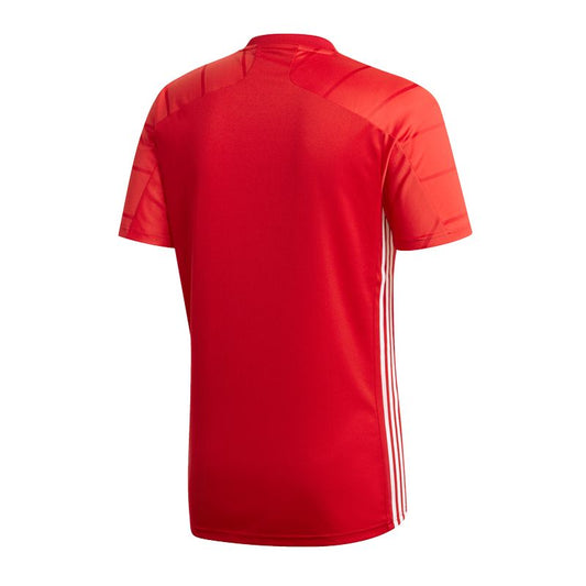 Adidas Campeon 21 M T-shirt FT6763
