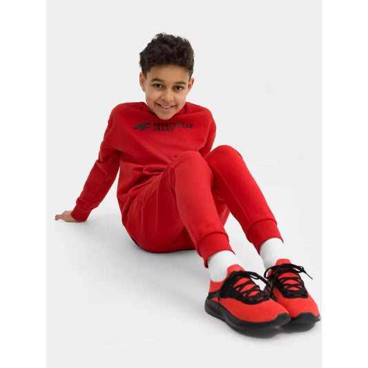 Sweatshirt 4F Jr. 4FJSS23TSWSM222-62S