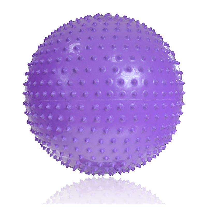 PROFIT Gymnastics Ball with Massage 55cm Purple DK 2104