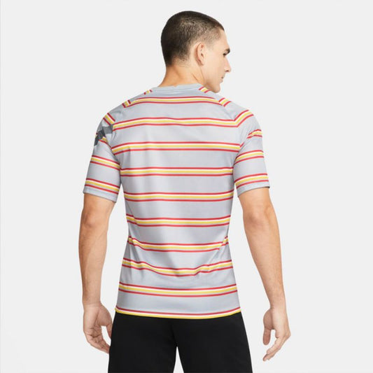 Nike Liverpool FC T-shirt M DB7627 017