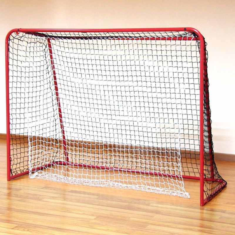 Floorball goal 160x115 cm