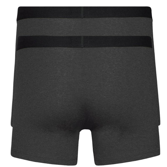 Levi's Boxer 2 Pairs Briefs underwear 37149-0404