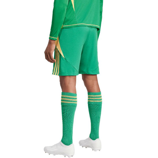 adidas Tiro 24 M IT2414 shorts