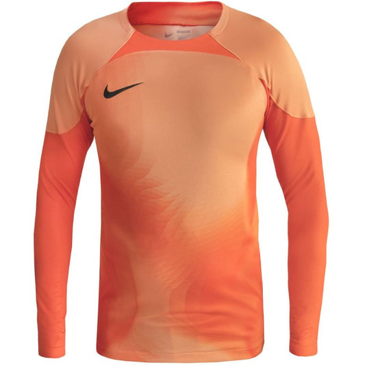 Nike Gardien IV Goalkeeper JSY M DH7967 819