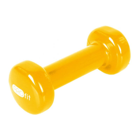 PROfit vinyl weight 0.5kg DK 4102