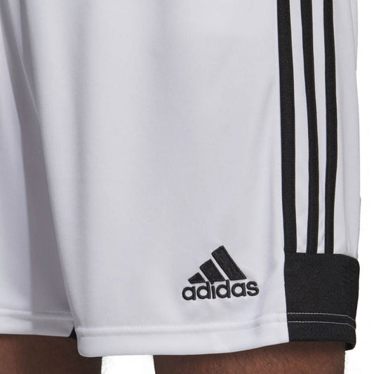 adidas Tastigo 19 Shorts M DP3247
