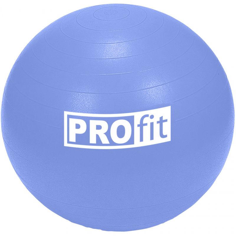 Profit 65cm Gymnastics Ball with Pump DK 2102