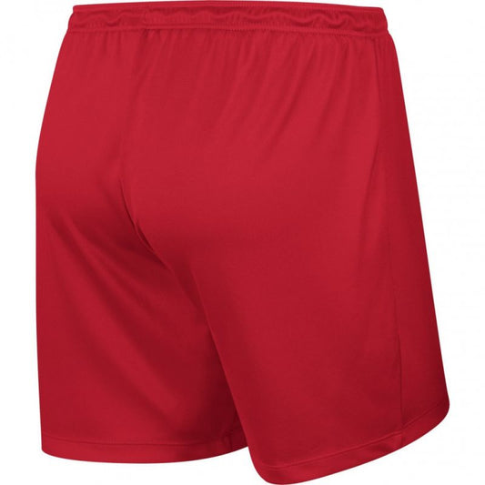 Nike Park Knit Short NB W 833053-657 Football Shorts