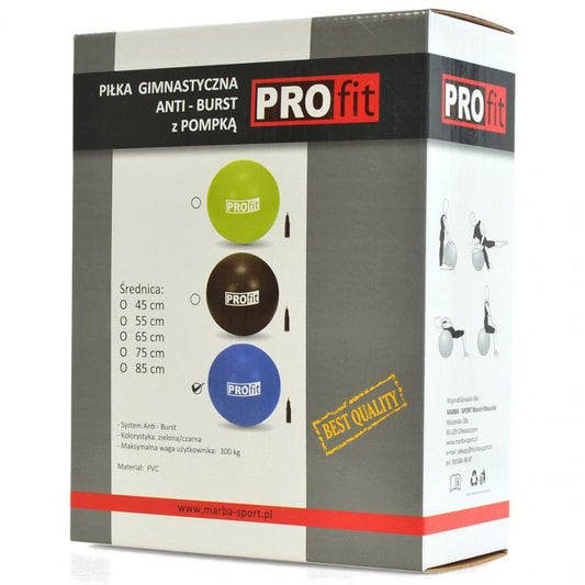 Profit 65cm Gymnastics Ball with Pump DK 2102