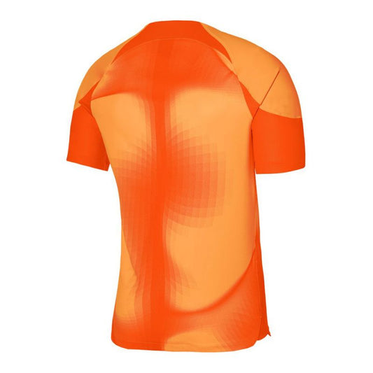 Nike Dri-FIT ADV Gardien 4 M Goalkeeper Jersey DH7760-819